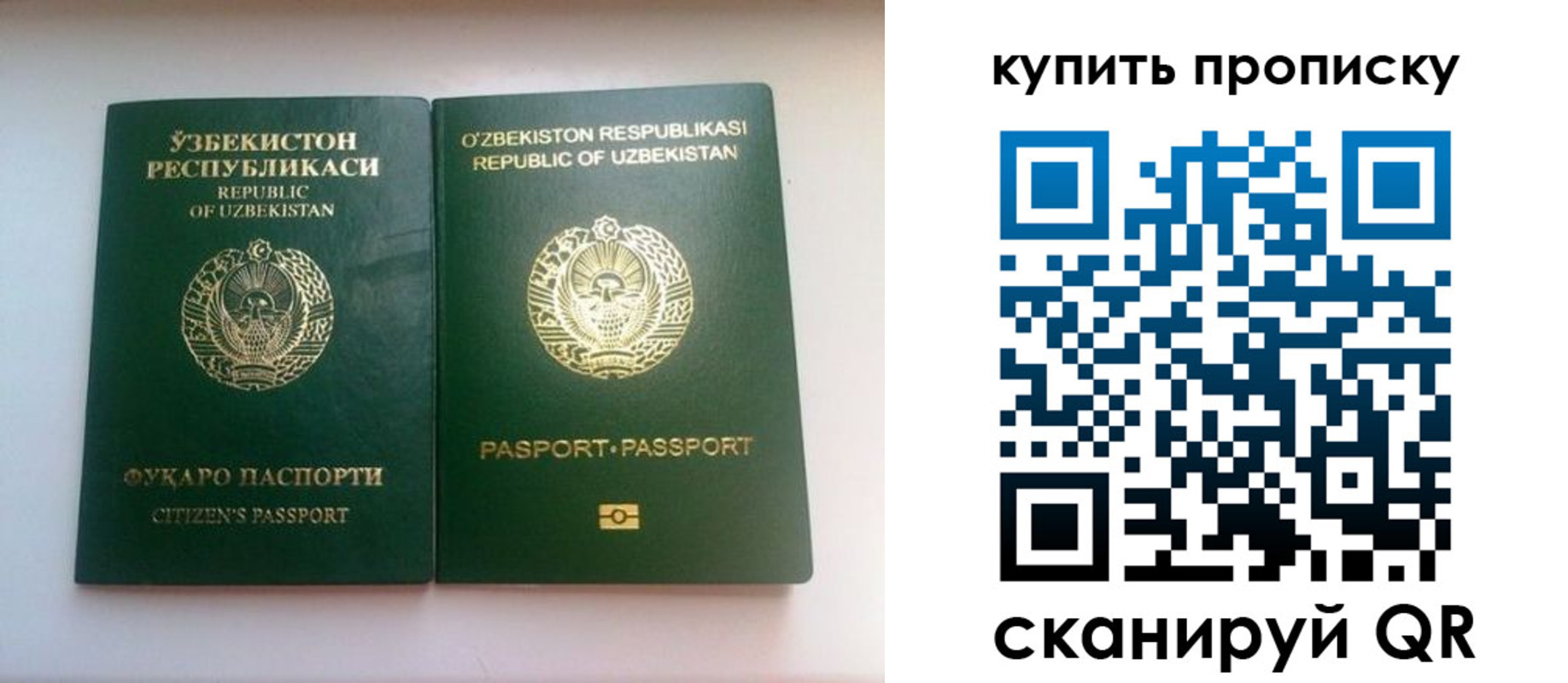 прописка в квартире в Обояни